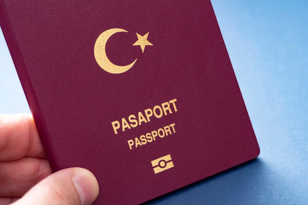 Bordo Pasaport Nedir?