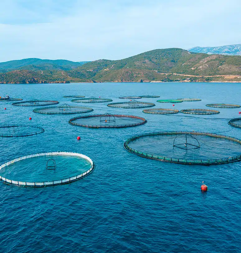 Devlet Destekli Su Ürünleri Sigortası Devlet Destekli Su Ürünleri Sigortası