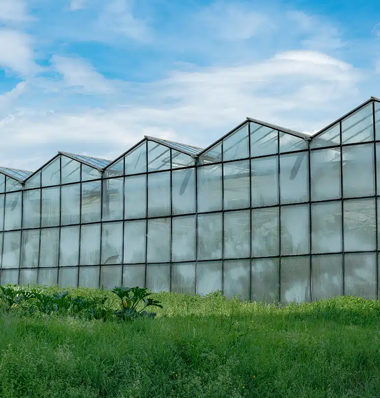 Devlet Destekli Sera Sigortası Devlet Destekli Sera Sigortası